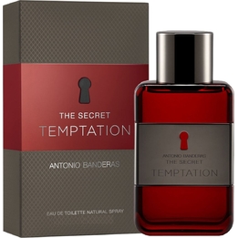 Antonio Banderas The Secret Temptation